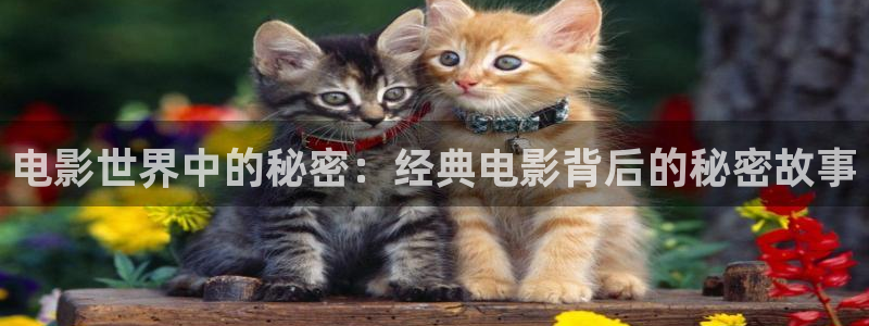 秋霞影视作品：电影世界中的秘密：经典电影背后的秘密故事