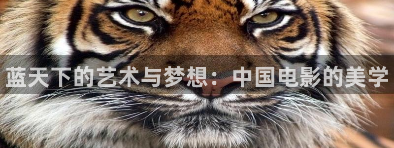 2017秋霞片