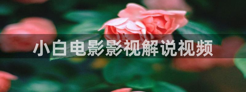 手机看片秋霞电影网