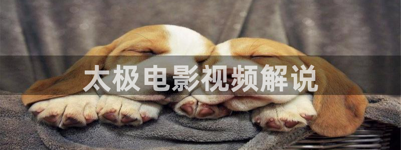 秋霞网官网