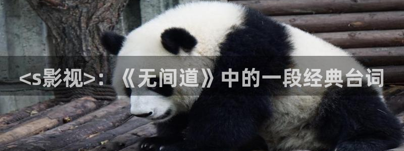 6080秋霞网