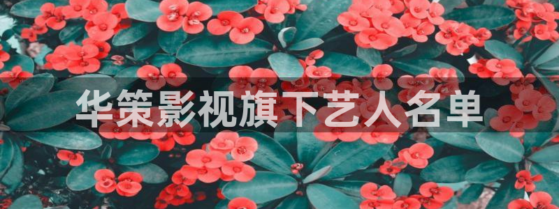 神马秋霞电影免费看