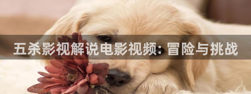 秋霞网86