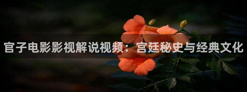 秋霞电影伦理在线