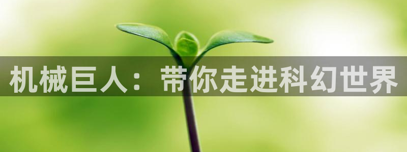 秋霞影院欧美一区二区三区