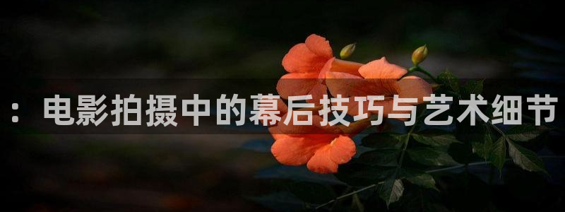 秋霞电影网 神马影院