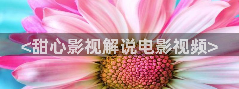 2019秋霞电影在线观看