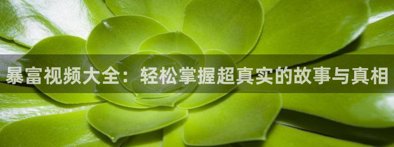 秋霞免费理伦片