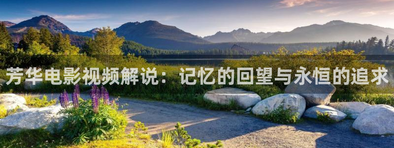 秋霞电影妈妈的朋友
